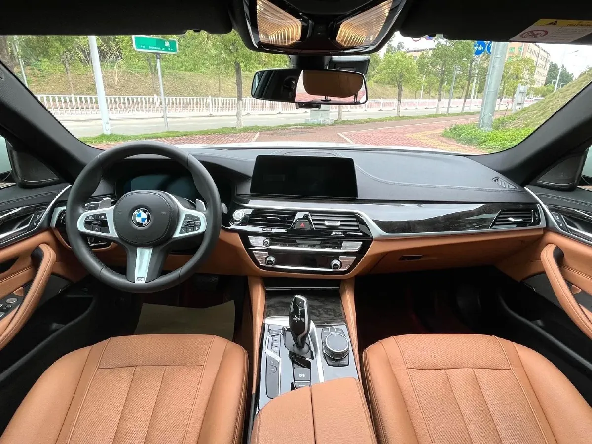 2020 BMW 5 Series 2.0T 252HP L4 8AT,autocango,china used car exporter,china ev exporter,chinese used car exporter,chinese used ev exporter