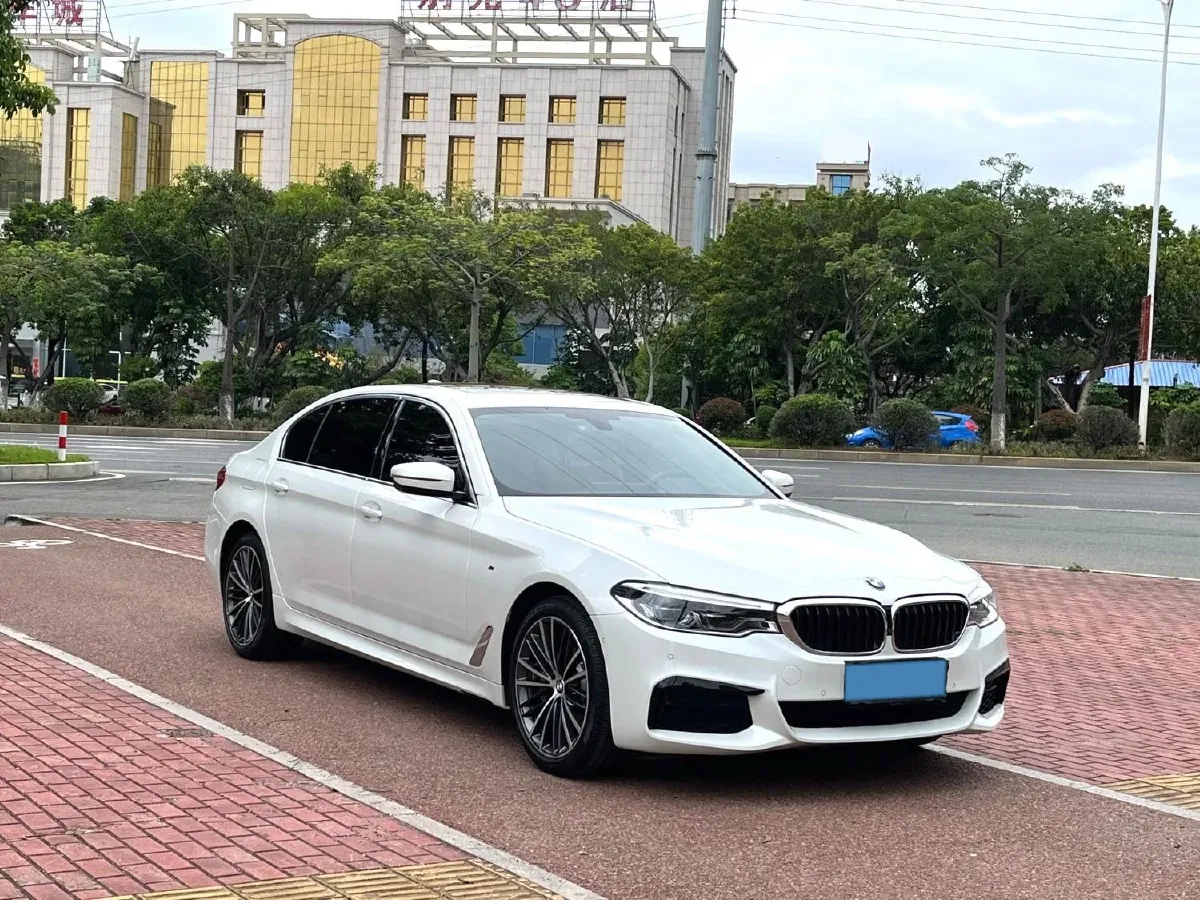 2020 BMW 5 Series 2.0T 252HP L4 8AT,autocango,china used car exporter,china ev exporter,chinese used car exporter,chinese used ev exporter
