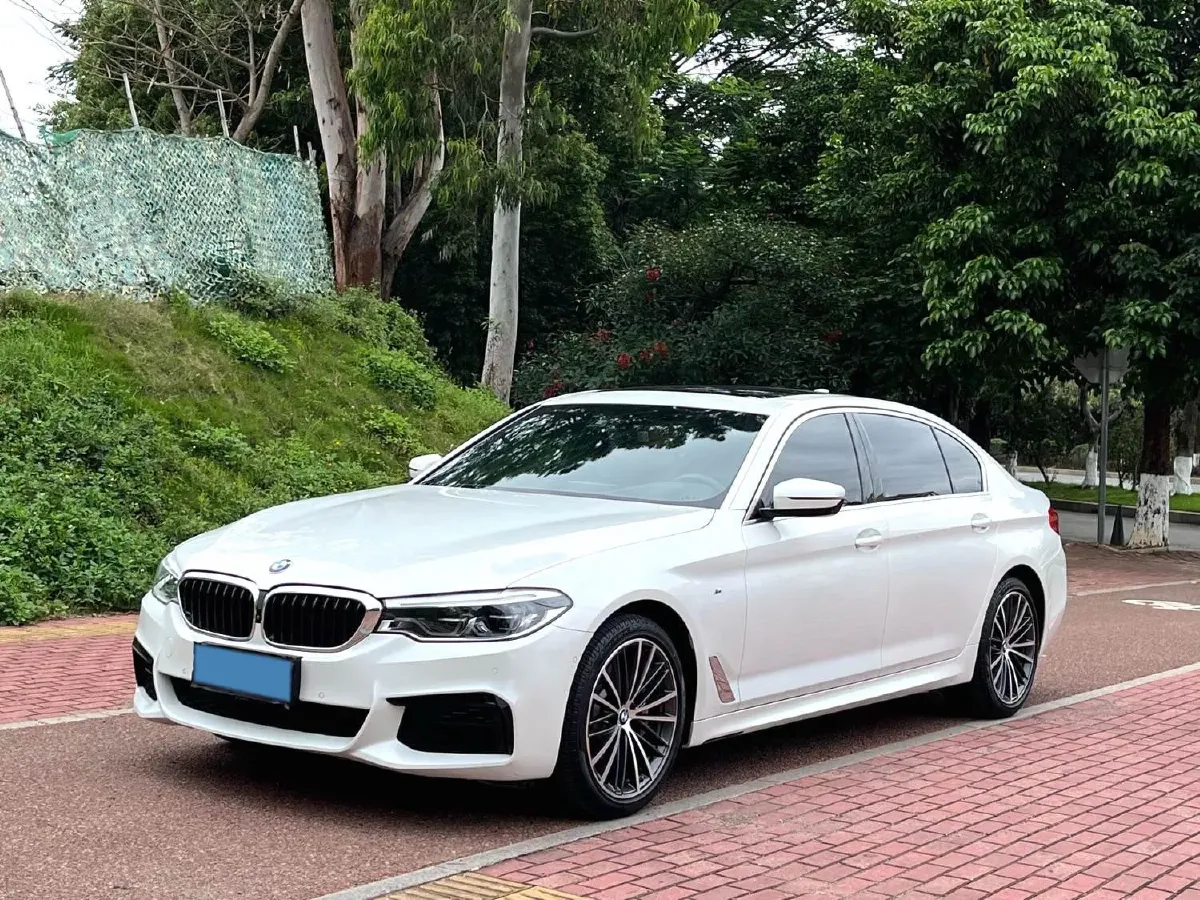 2020 BMW 5 Series 2.0T 252HP L4 8AT,autocango,china used car exporter,china ev exporter,chinese used car exporter,chinese used ev exporter