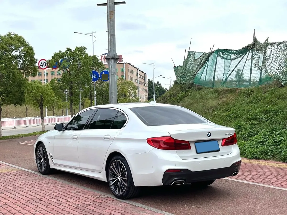 2020 BMW 5 Series 2.0T 252HP L4 8AT,autocango,china used car exporter,china ev exporter,chinese used car exporter,chinese used ev exporter