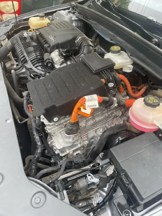 2021 DongFeng FuKang e Elysee BEV 38.4KWH,autocango,china used car exporter,china ev exporter,chinese used car exporter,chinese used ev exporter