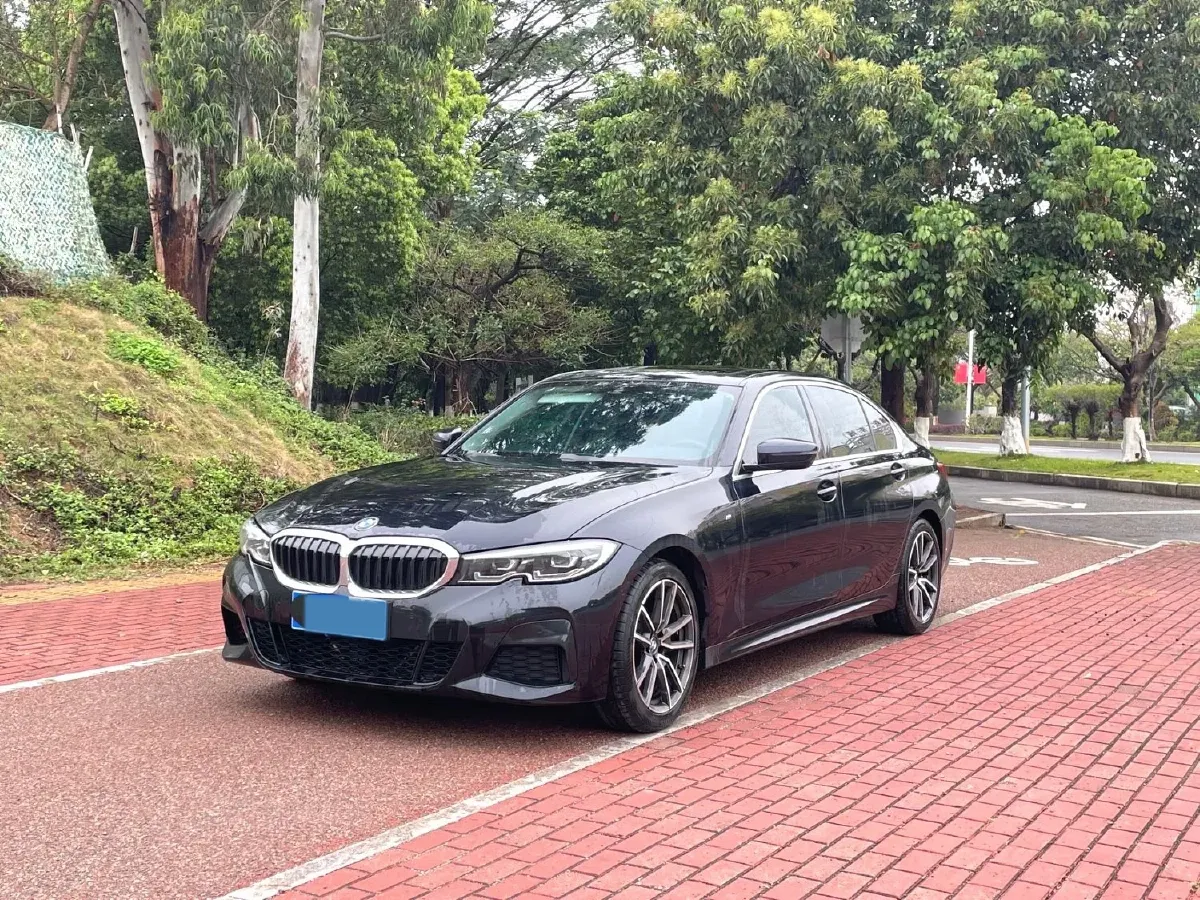 2021 BMW 3 Series 2.0T 184HP L4 8AT,autocango,china used car exporter,china ev exporter,chinese used car exporter,chinese used ev exporter