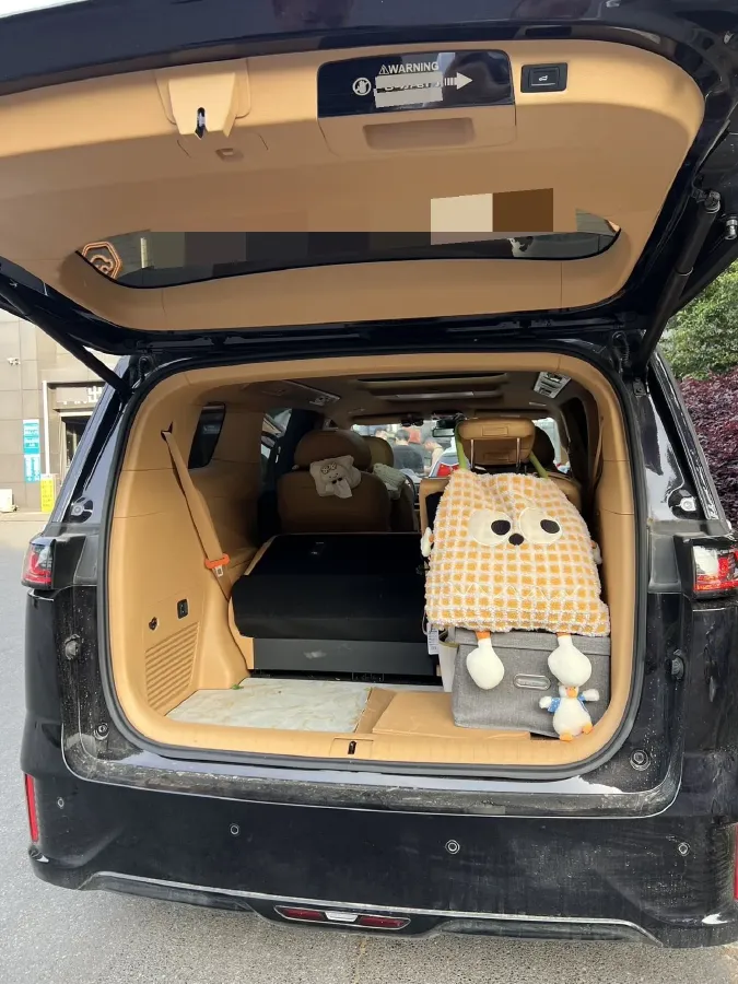 2025 Voyah Dream 1.5T 150HP L4 PHEV 41.7KWH,autocango,china used car exporter,china ev exporter,chinese used car exporter,chinese used ev exporter