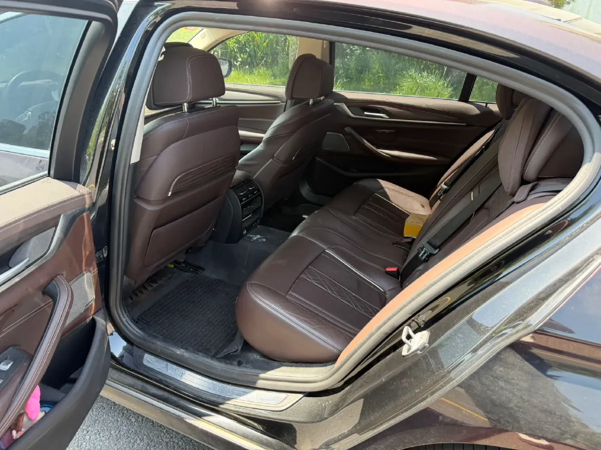 2020 BMW 5 Series 2.0T 184HP L4 8AT PHEV 17.7KWH,autocango,china used car exporter,china ev exporter,chinese used car exporter,chinese used ev exporter