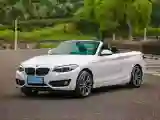 2019 BMW 2 Series 2.0T 184HP L4 8AT
