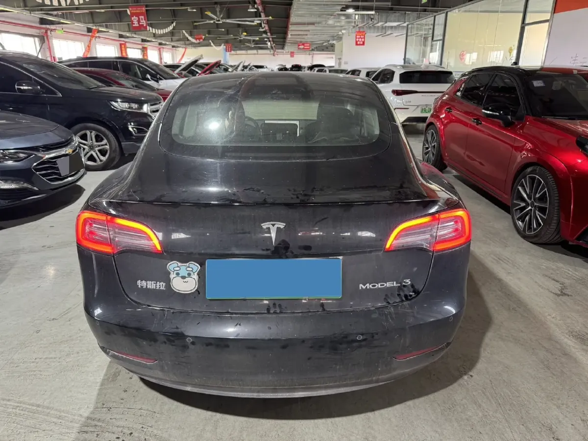 2021 Tesla Model 3 BEV 55KWH,autocango,china used car exporter,china ev exporter,chinese used car exporter,chinese used ev exporter