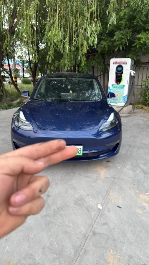 2021 Tesla Model 3 BEV 55KWH,autocango,china used car exporter,china ev exporter,chinese used car exporter,chinese used ev exporter