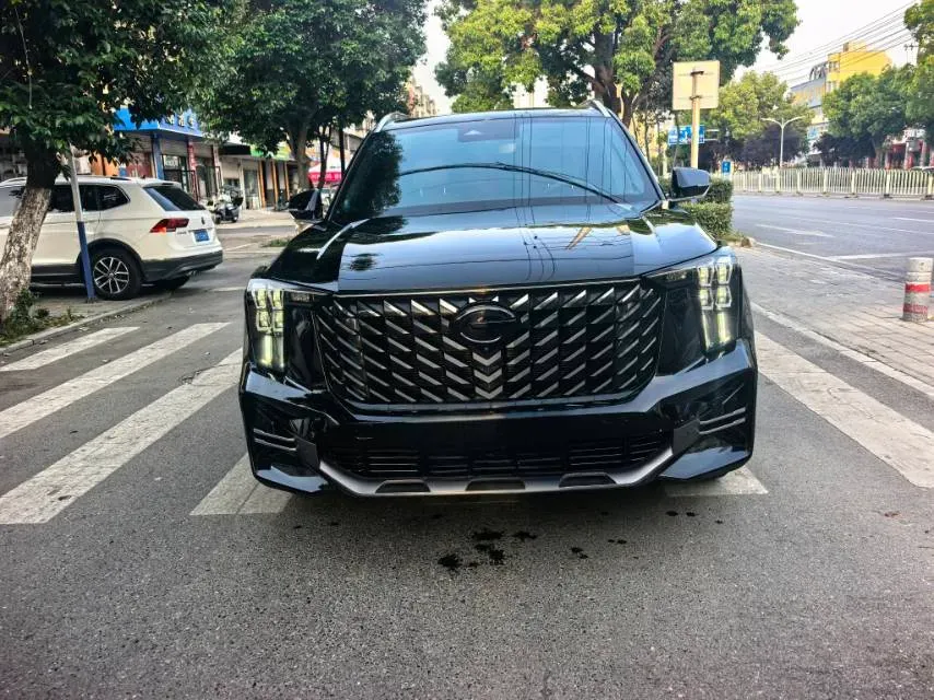 2024 GAC Trumpchi GS8 2.0T 252HP L4 8AT,autocango,china used car exporter,china ev exporter,chinese used car exporter,chinese used ev exporter