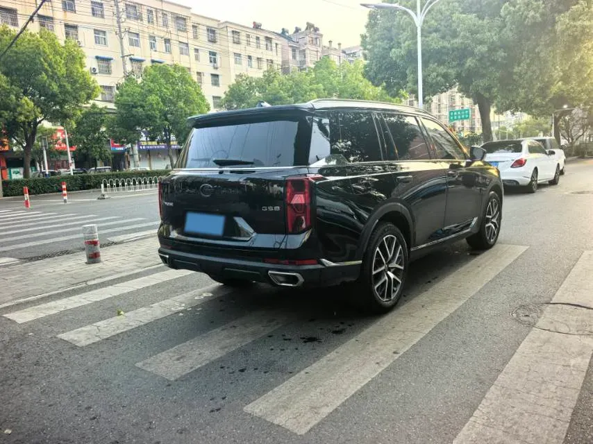 2024 GAC Trumpchi GS8 2.0T 252HP L4 8AT,autocango,china used car exporter,china ev exporter,chinese used car exporter,chinese used ev exporter
