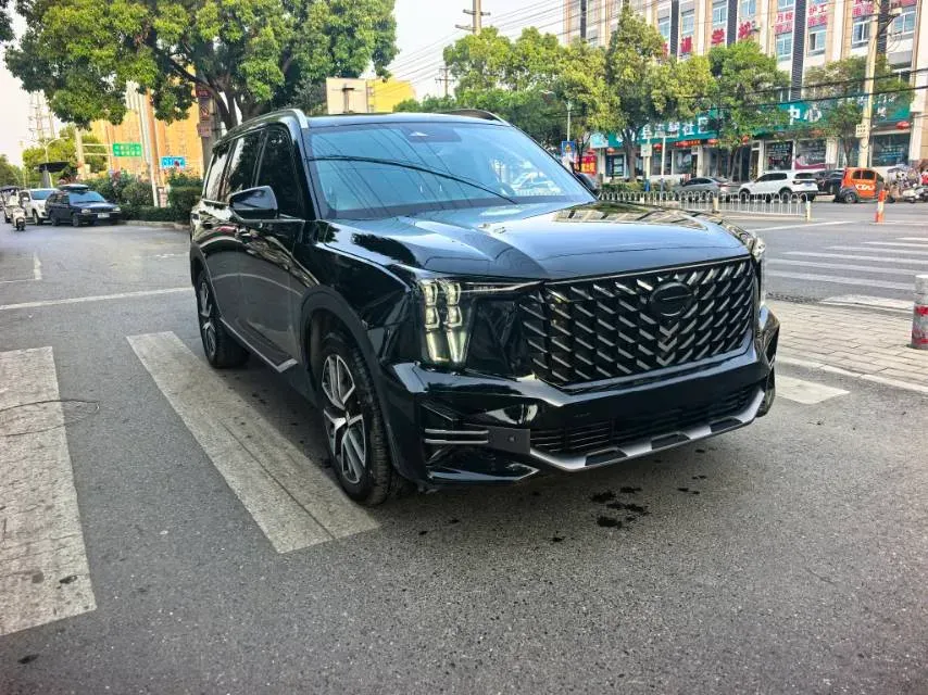 2024 GAC Trumpchi GS8 2.0T 252HP L4 8AT,autocango,china used car exporter,china ev exporter,chinese used car exporter,chinese used ev exporter