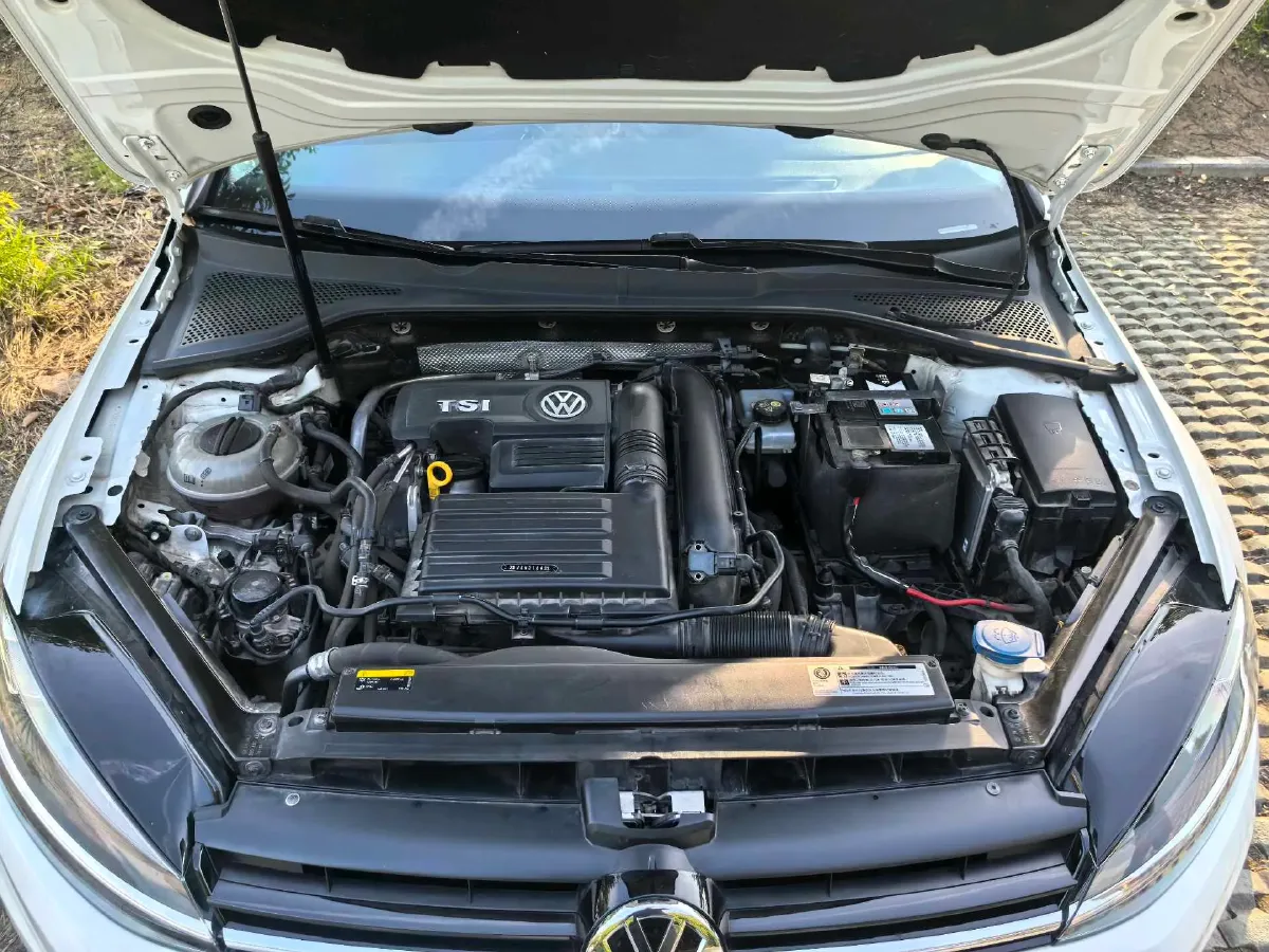2019 Volkswagen Golf 1.4T 150HP L4 7DCT,autocango,china used car exporter,china ev exporter,chinese used car exporter,chinese used ev exporter