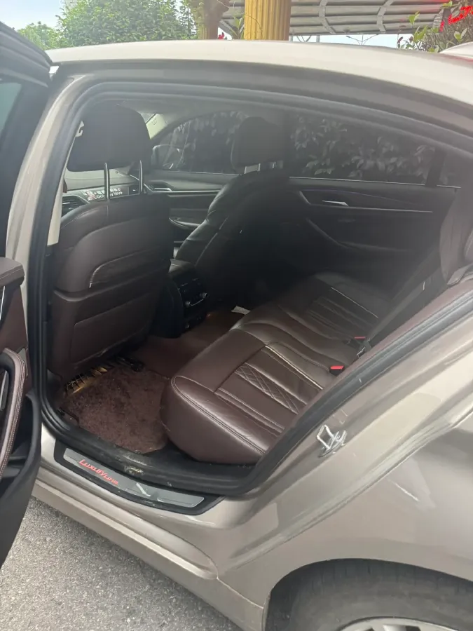 2020 BMW 5 Series 2.0T 252HP L4 8AT,autocango,china used car exporter,china ev exporter,chinese used car exporter,chinese used ev exporter