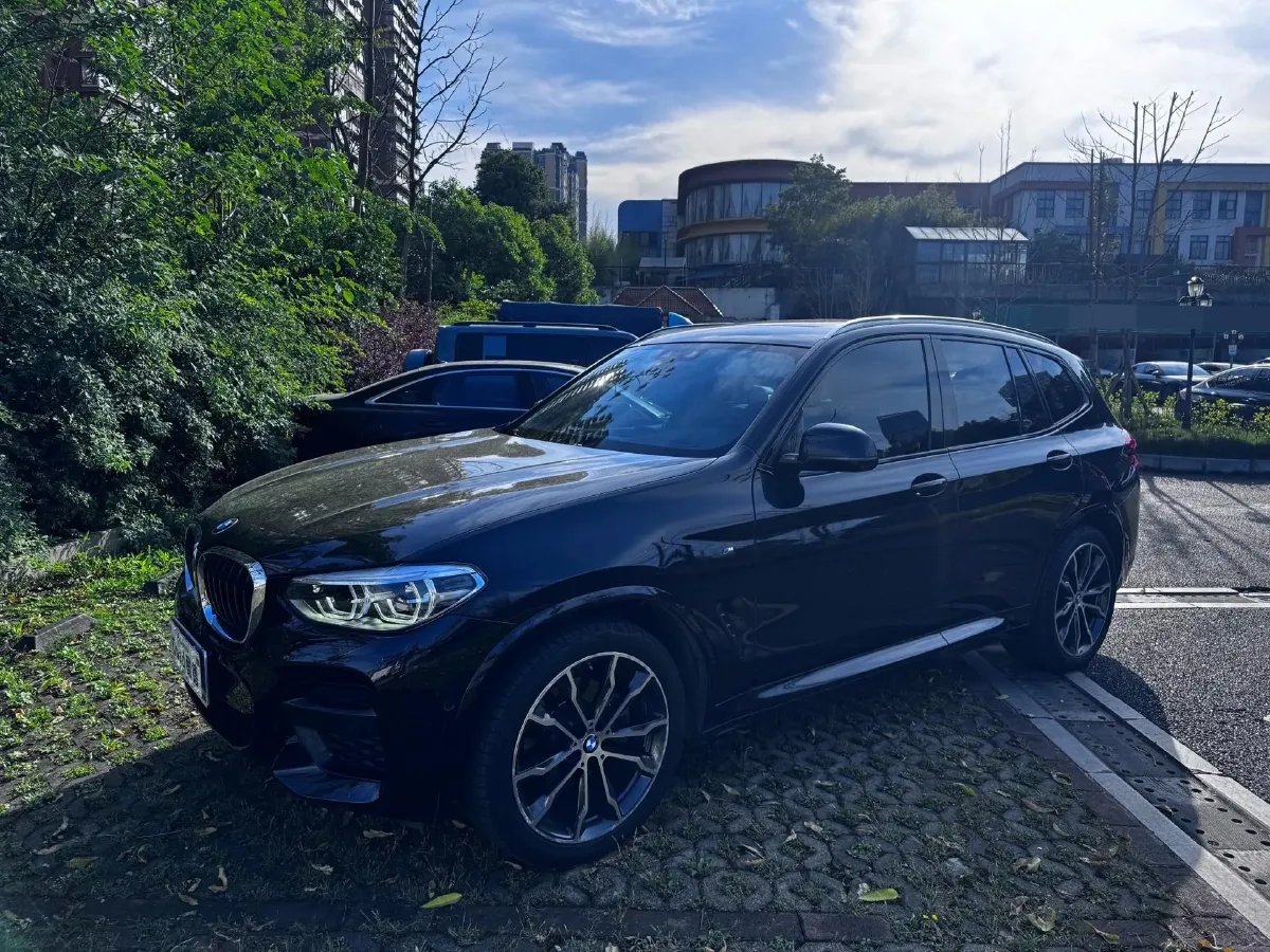 2020 BMW X3 2.0T 252HP L4 8AT,autocango,china used car exporter,china ev exporter,chinese used car exporter,chinese used ev exporter