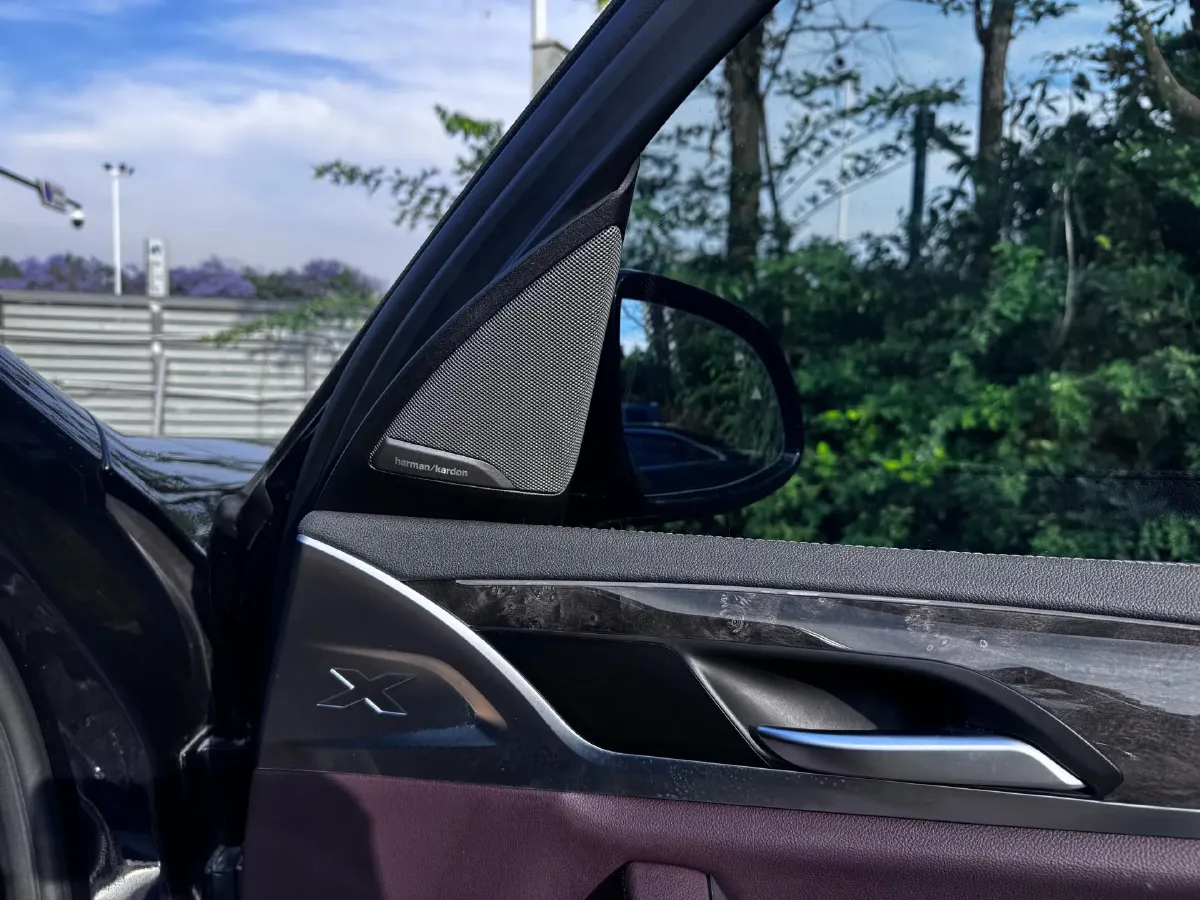 2020 BMW X3 2.0T 252HP L4 8AT,autocango,china used car exporter,china ev exporter,chinese used car exporter,chinese used ev exporter