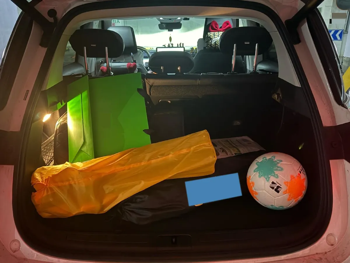 2024 Smart smart Elf 1 BEV 49KWH,autocango,china used car exporter,china ev exporter,chinese used car exporter,chinese used ev exporter