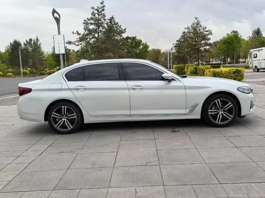 2021 BMW 5 Series 2.0T 252HP L4 8AT,autocango,china used car exporter,china ev exporter,chinese used car exporter,chinese used ev exporter