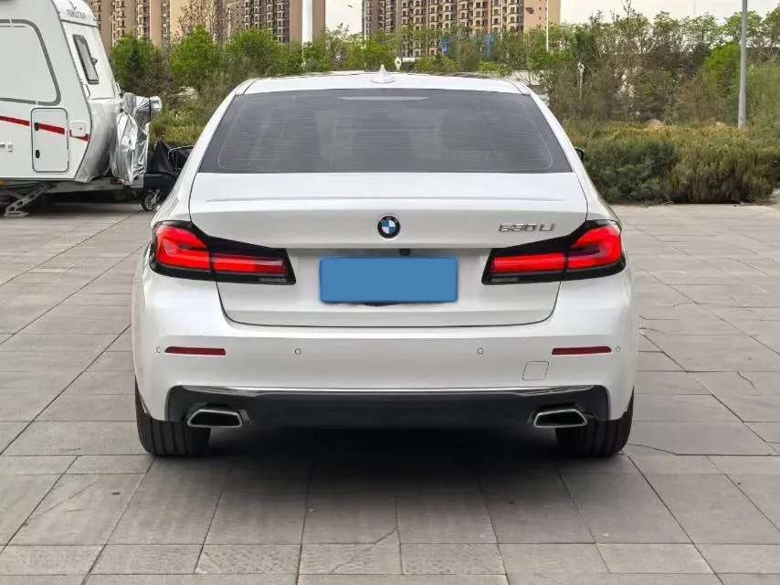 2021 BMW 5 Series 2.0T 252HP L4 8AT,autocango,china used car exporter,china ev exporter,chinese used car exporter,chinese used ev exporter