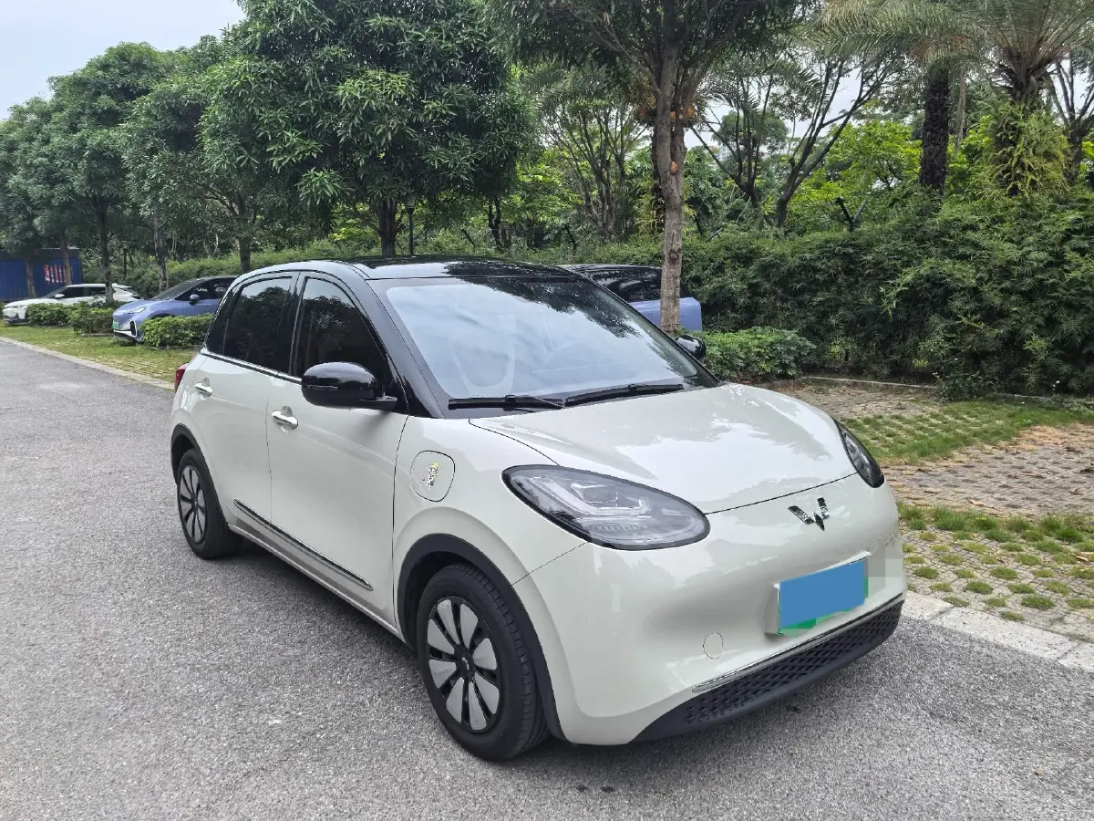 2023 WuLing BinGuo BEV 31.9KWH,autocango,china used car exporter,china ev exporter,chinese used car exporter,chinese used ev exporter