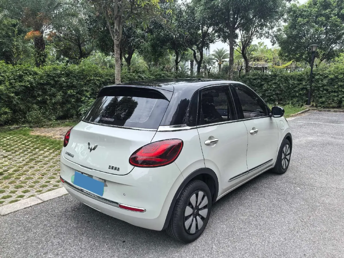 2023 WuLing BinGuo BEV 31.9KWH,autocango,china used car exporter,china ev exporter,chinese used car exporter,chinese used ev exporter