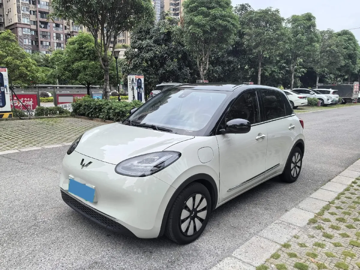2023 WuLing BinGuo BEV 31.9KWH,autocango,china used car exporter,china ev exporter,chinese used car exporter,chinese used ev exporter