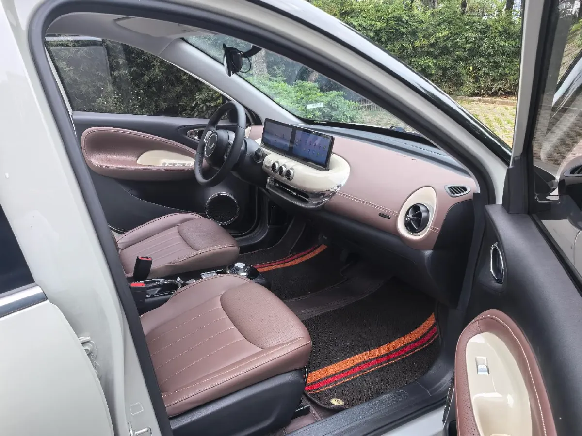 2023 WuLing BinGuo BEV 31.9KWH,autocango,china used car exporter,china ev exporter,chinese used car exporter,chinese used ev exporter