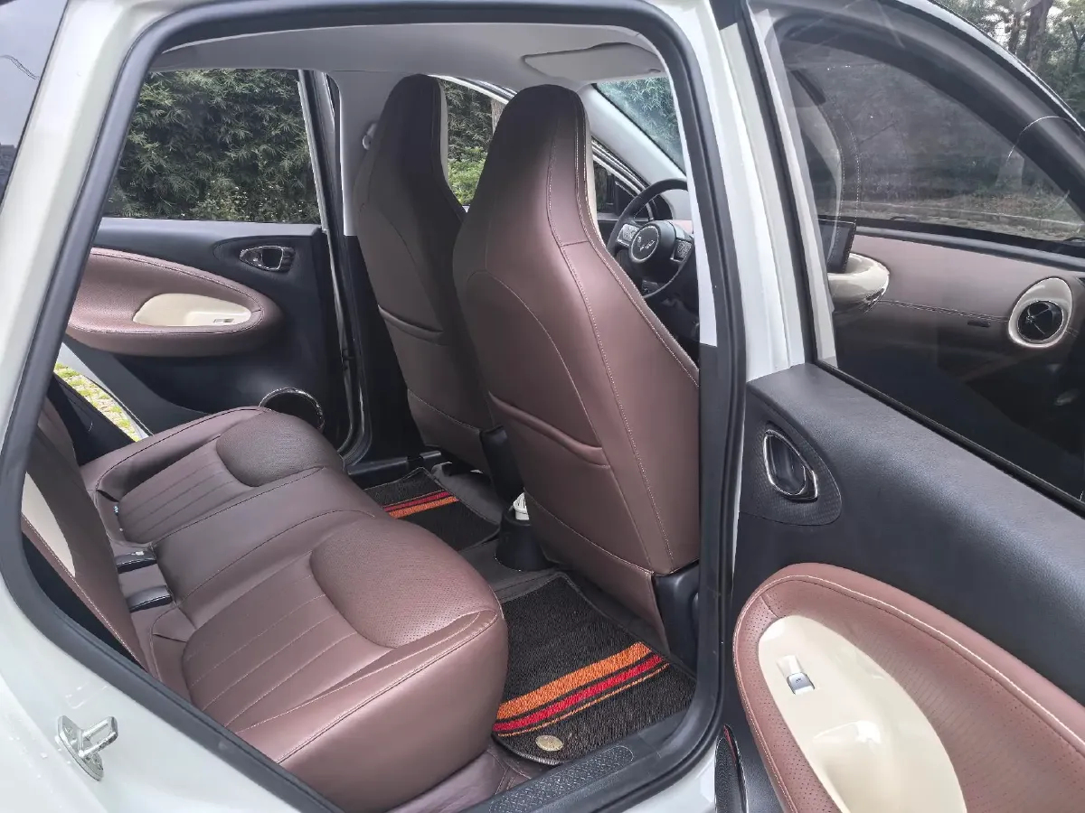 2023 WuLing BinGuo BEV 31.9KWH,autocango,china used car exporter,china ev exporter,chinese used car exporter,chinese used ev exporter
