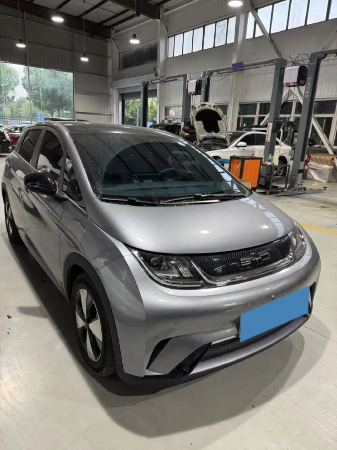 2023 BYD Dolphin BEV 44.928KWH,autocango,china used car exporter,china ev exporter,chinese used car exporter,chinese used ev exporter
