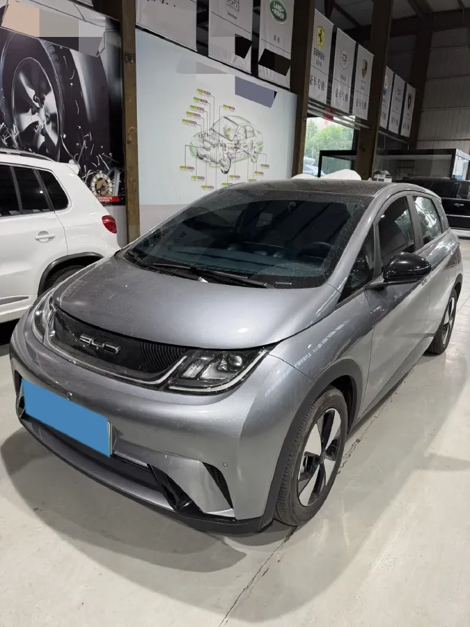 2023 BYD Dolphin BEV 44.928KWH,autocango,china used car exporter,china ev exporter,chinese used car exporter,chinese used ev exporter