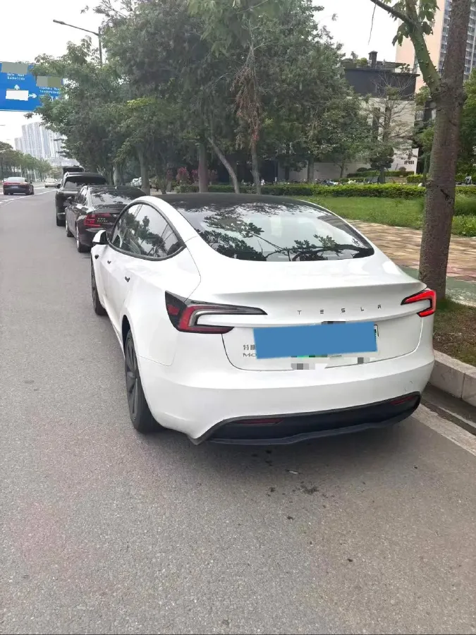 2025 Tesla Model 3 BEV,autocango,china used car exporter,china ev exporter,chinese used car exporter,chinese used ev exporter