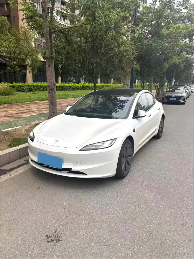 2025 Tesla Model 3 BEV,autocango,china used car exporter,china ev exporter,chinese used car exporter,chinese used ev exporter
