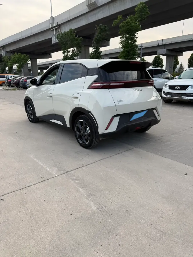 2025 BYD Seagull BEV 38.88KWH,autocango,china used car exporter,china ev exporter,chinese used car exporter,chinese used ev exporter