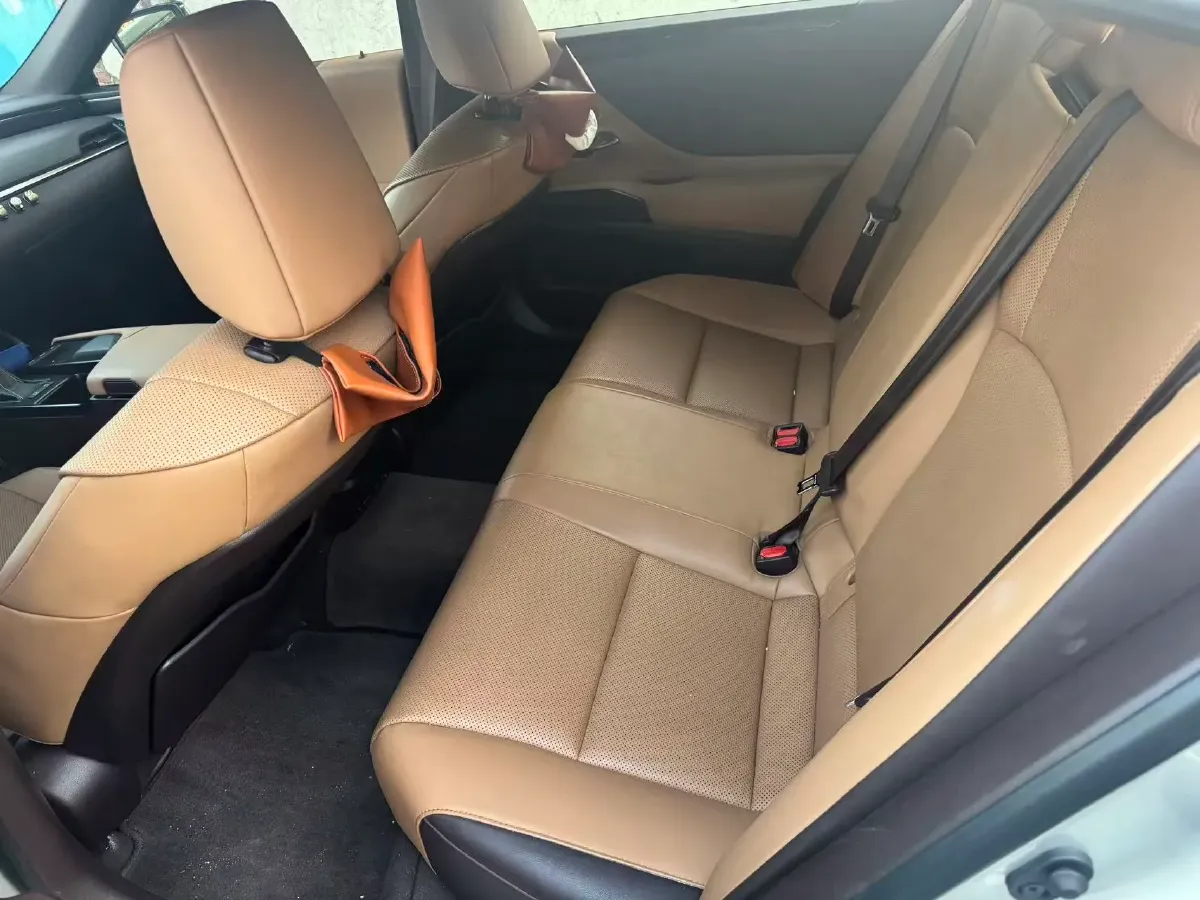 2020 Lexus ES 2.0L 173HP L4 CVT,autocango,china used car exporter,china ev exporter,chinese used car exporter,chinese used ev exporter