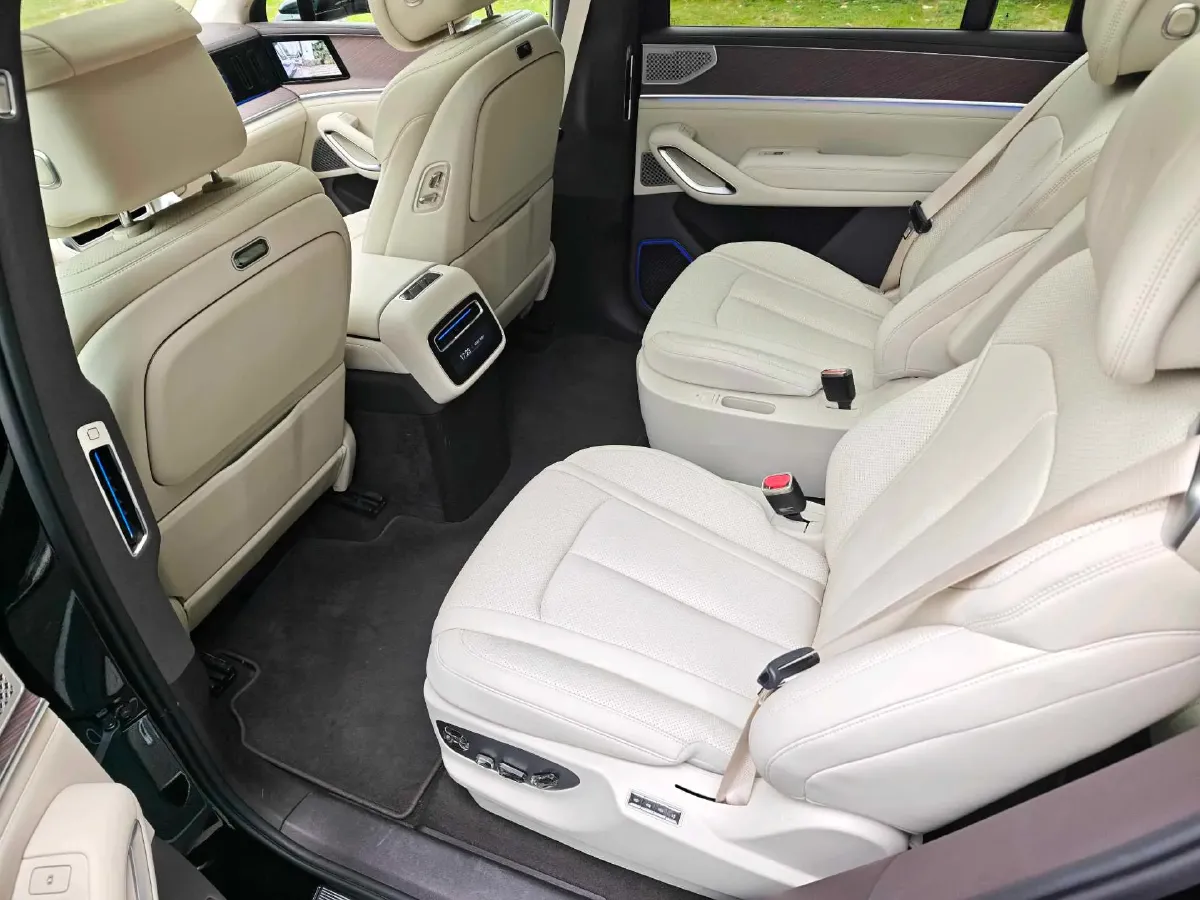 2025 Denza DenzaN9 2.0T 207HP L4 E-CVT PHEV,autocango,china used car exporter,china ev exporter,chinese used car exporter,chinese used ev exporter