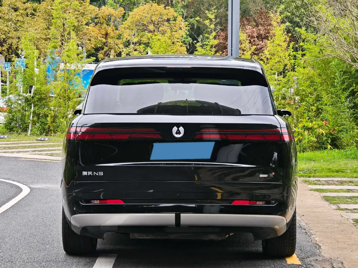 2025 Denza DenzaN9 2.0T 207HP L4 E-CVT PHEV,autocango,china used car exporter,china ev exporter,chinese used car exporter,chinese used ev exporter