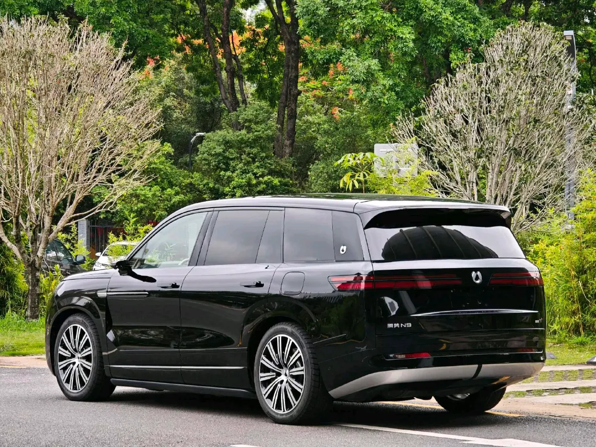 2025 Denza DenzaN9 2.0T 207HP L4 E-CVT PHEV,autocango,china used car exporter,china ev exporter,chinese used car exporter,chinese used ev exporter