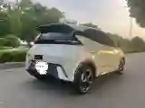 2024 BYD Seagull BEV 30.08KWH