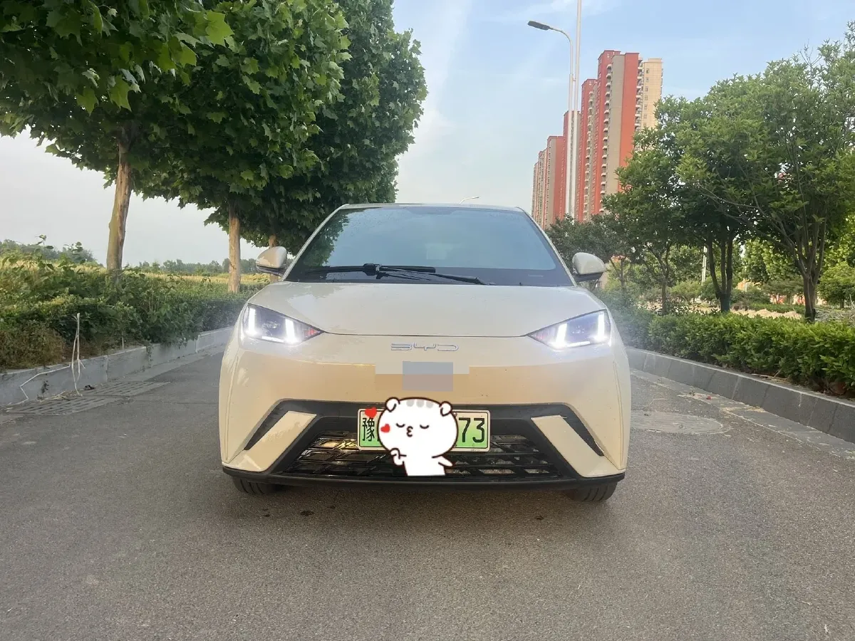 2024 BYD Seagull BEV 30.08KWH,autocango,china used car exporter,china ev exporter,chinese used car exporter,chinese used ev exporter