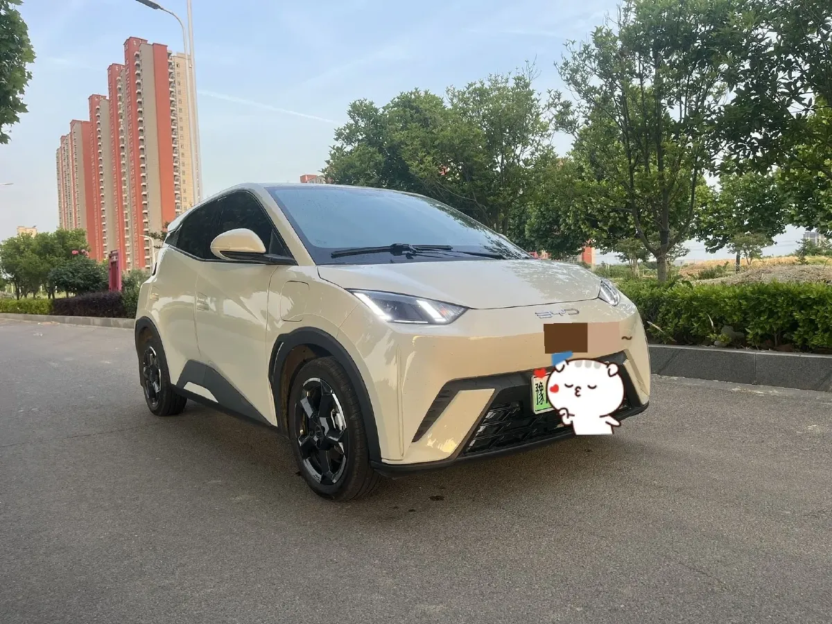 2024 BYD Seagull BEV 30.08KWH,autocango,china used car exporter,china ev exporter,chinese used car exporter,chinese used ev exporter