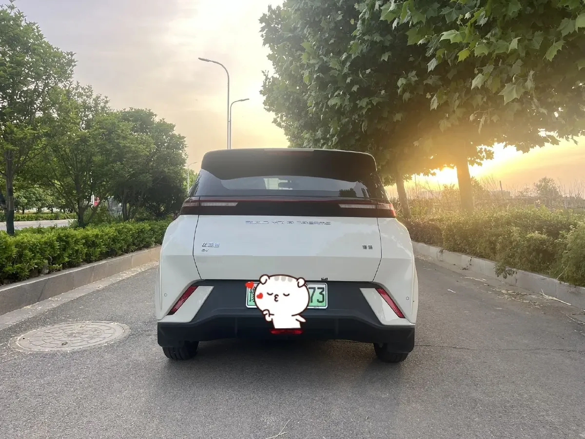 2024 BYD Seagull BEV 30.08KWH,autocango,china used car exporter,china ev exporter,chinese used car exporter,chinese used ev exporter