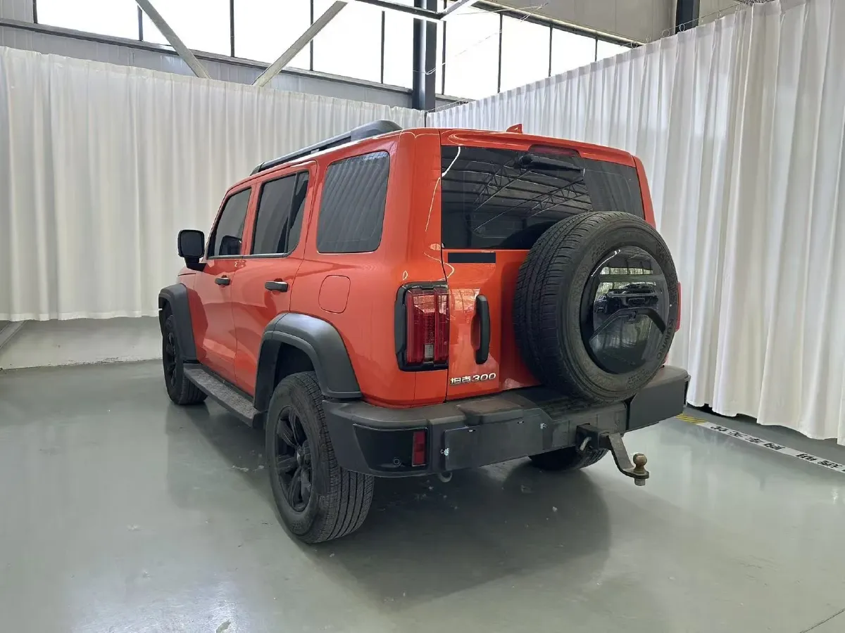 2024 Tank 300 2.0T 227HP L4 8AT,autocango,china used car exporter,china ev exporter,chinese used car exporter,chinese used ev exporter