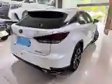 2021 Lexus RX 2.0T 231HP L4 6AT