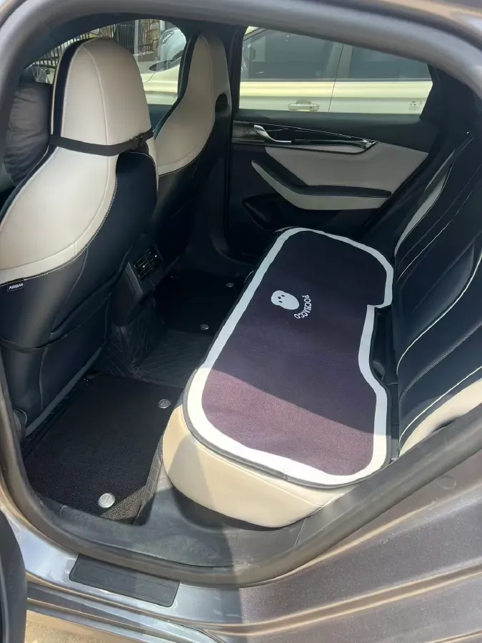 2021 DongFeng FuKang e Elysee BEV 30.7KWH,autocango,china used car exporter,china ev exporter,chinese used car exporter,chinese used ev exporter