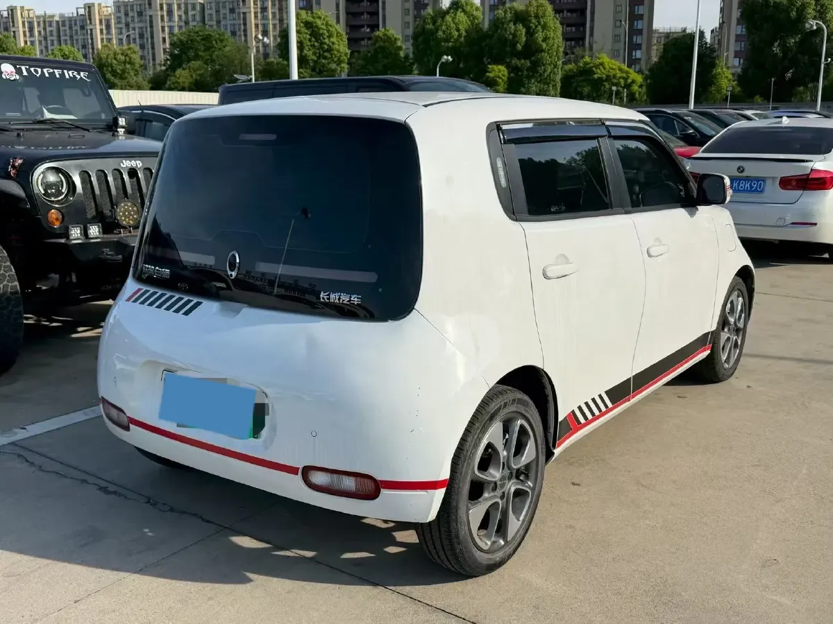 2020 Ora WhiteCat BEV 29.4KWH,autocango,china used car exporter,china ev exporter,chinese used car exporter,chinese used ev exporter