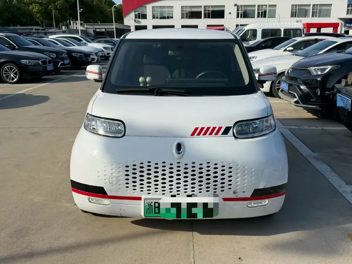 2020 Ora WhiteCat BEV 29.4KWH,autocango,china used car exporter,china ev exporter,chinese used car exporter,chinese used ev exporter