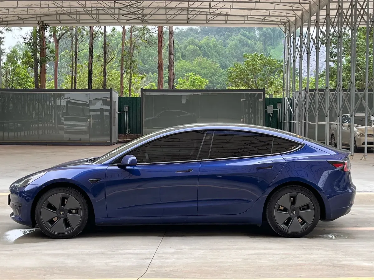 2021 Tesla Model 3 BEV 55KWH,autocango,china used car exporter,china ev exporter,chinese used car exporter,chinese used ev exporter