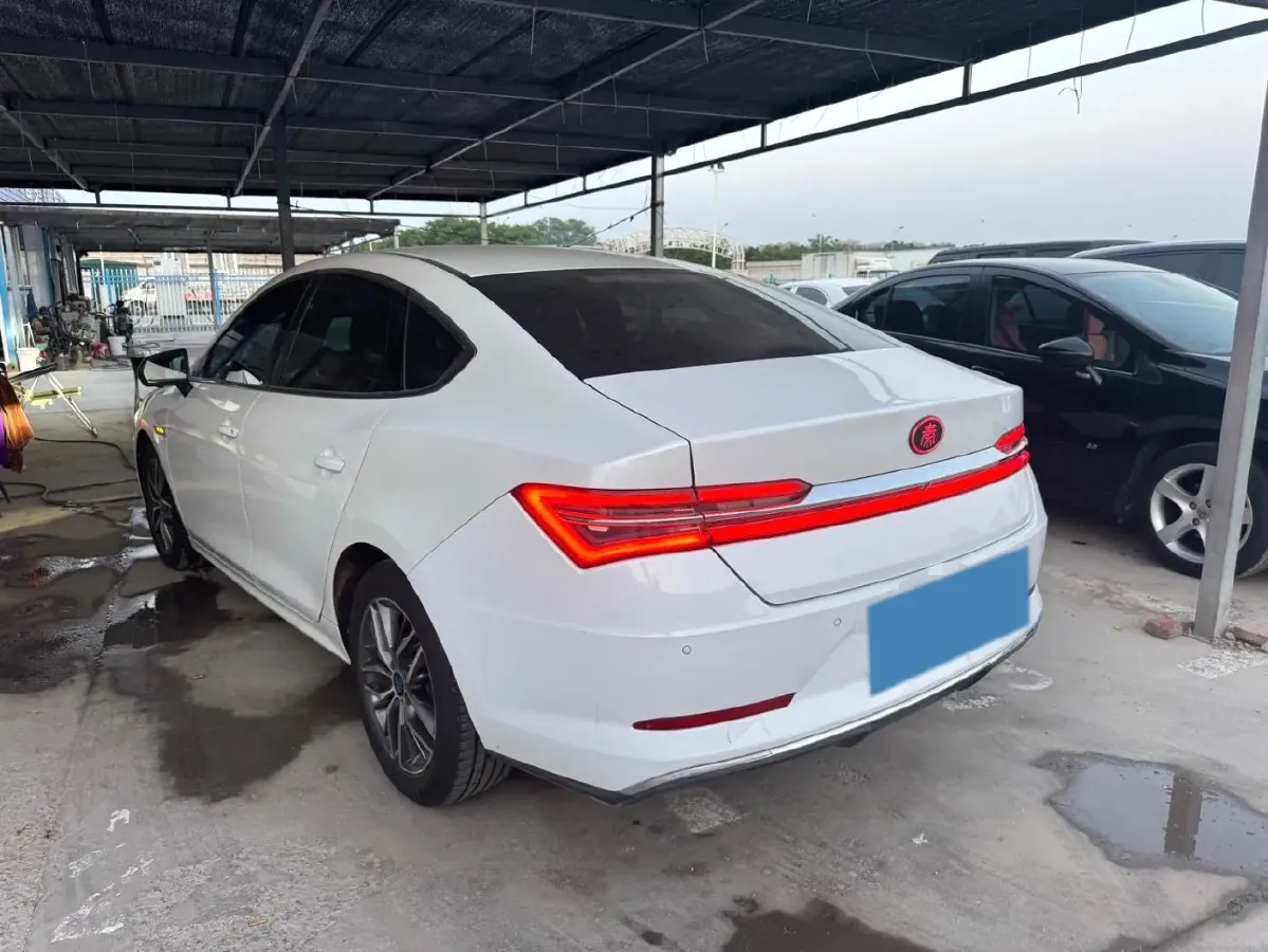 2019 BYD Qin Pro BEV 56.4KWH,autocango,china used car exporter,china ev exporter,chinese used car exporter,chinese used ev exporter