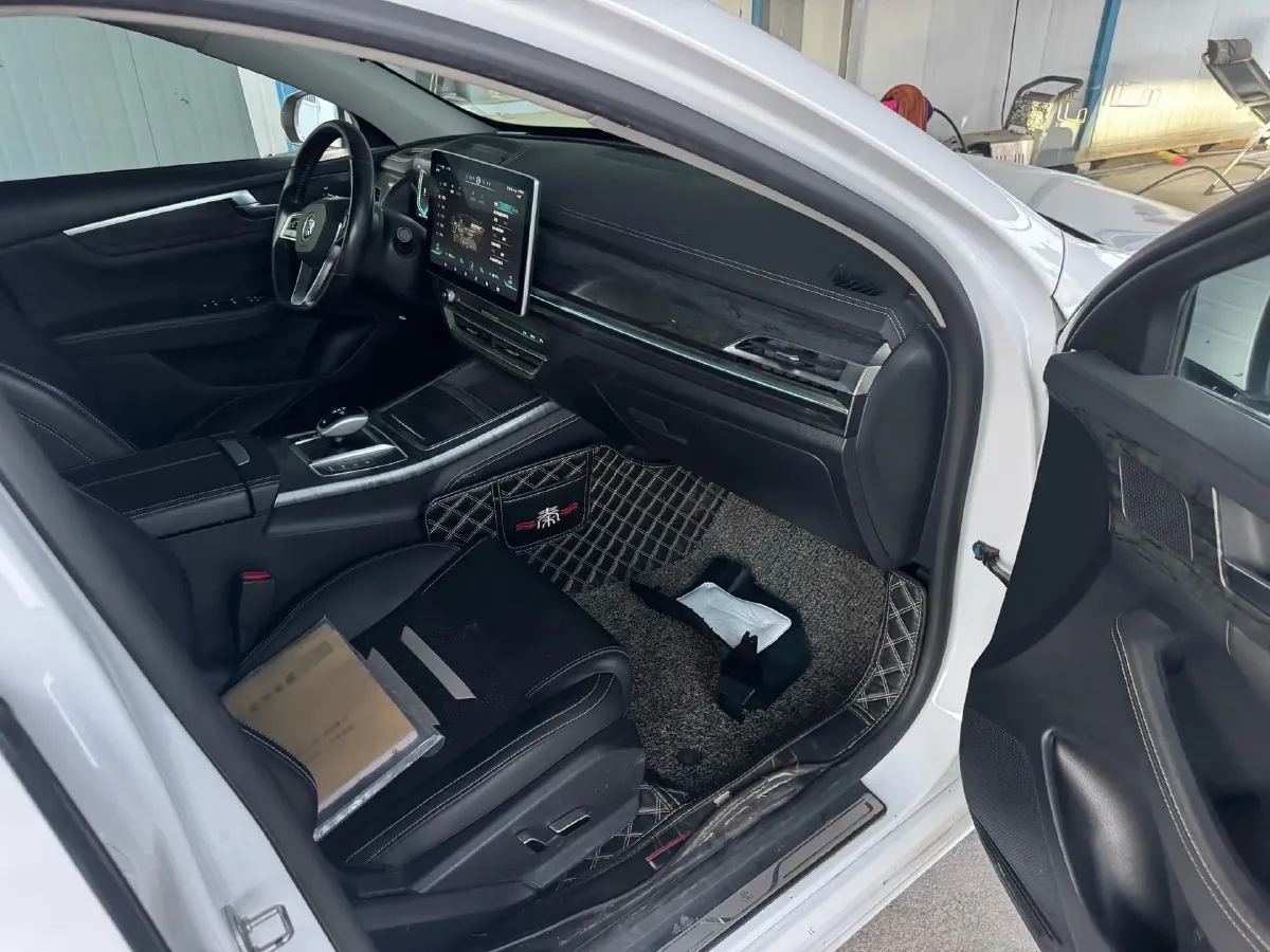 2019 BYD Qin Pro BEV 56.4KWH,autocango,china used car exporter,china ev exporter,chinese used car exporter,chinese used ev exporter