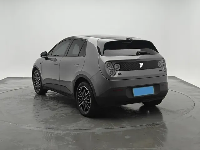2025 Firefly Firefly BEV,autocango,china used car exporter,china ev exporter,chinese used car exporter,chinese used ev exporter