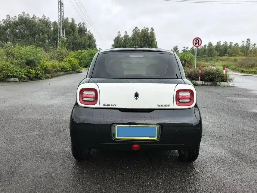 2019 Roewe Ei5 BEV 52.5KWH,autocango,china used car exporter,china ev exporter,chinese used car exporter,chinese used ev exporter