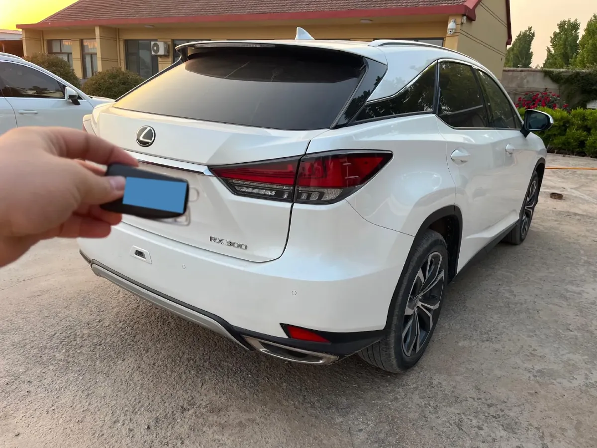 2020 Lexus RX 2.0T 231HP L4 6AT,autocango,china used car exporter,china ev exporter,chinese used car exporter,chinese used ev exporter